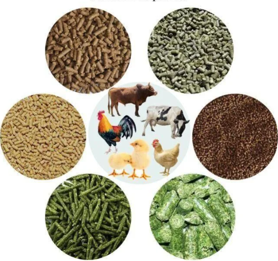 Animal / cattle / poultry Feed